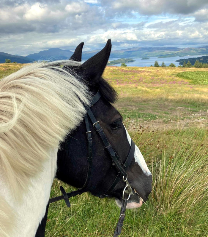 View of Loch Lomond on pony trekking activity