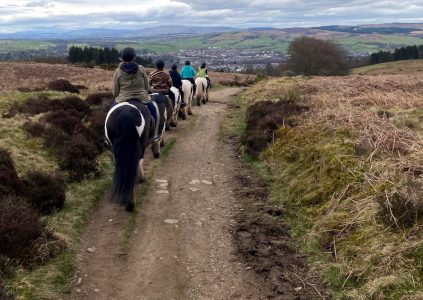 Pony trekking group following in a row