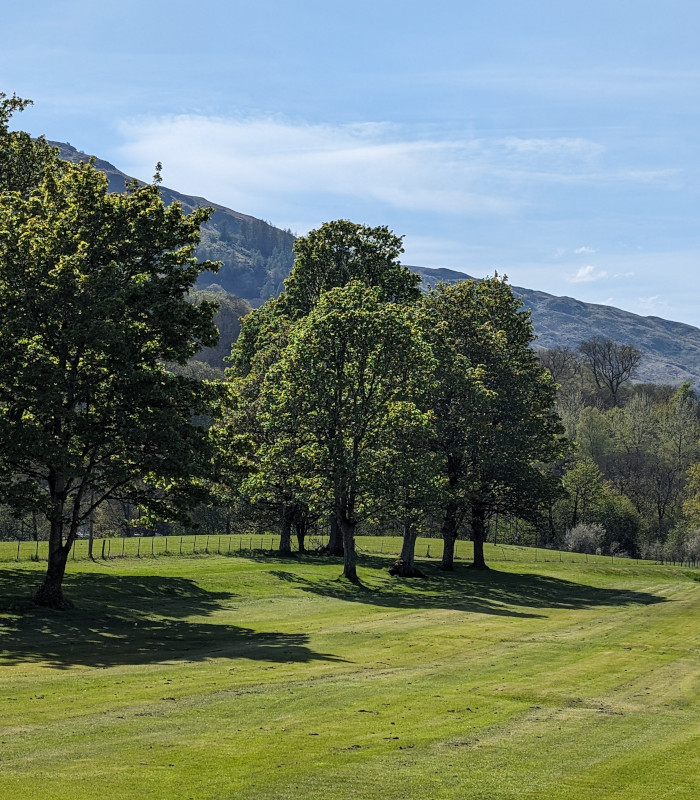 Trees on Killin golf course in Perthshire